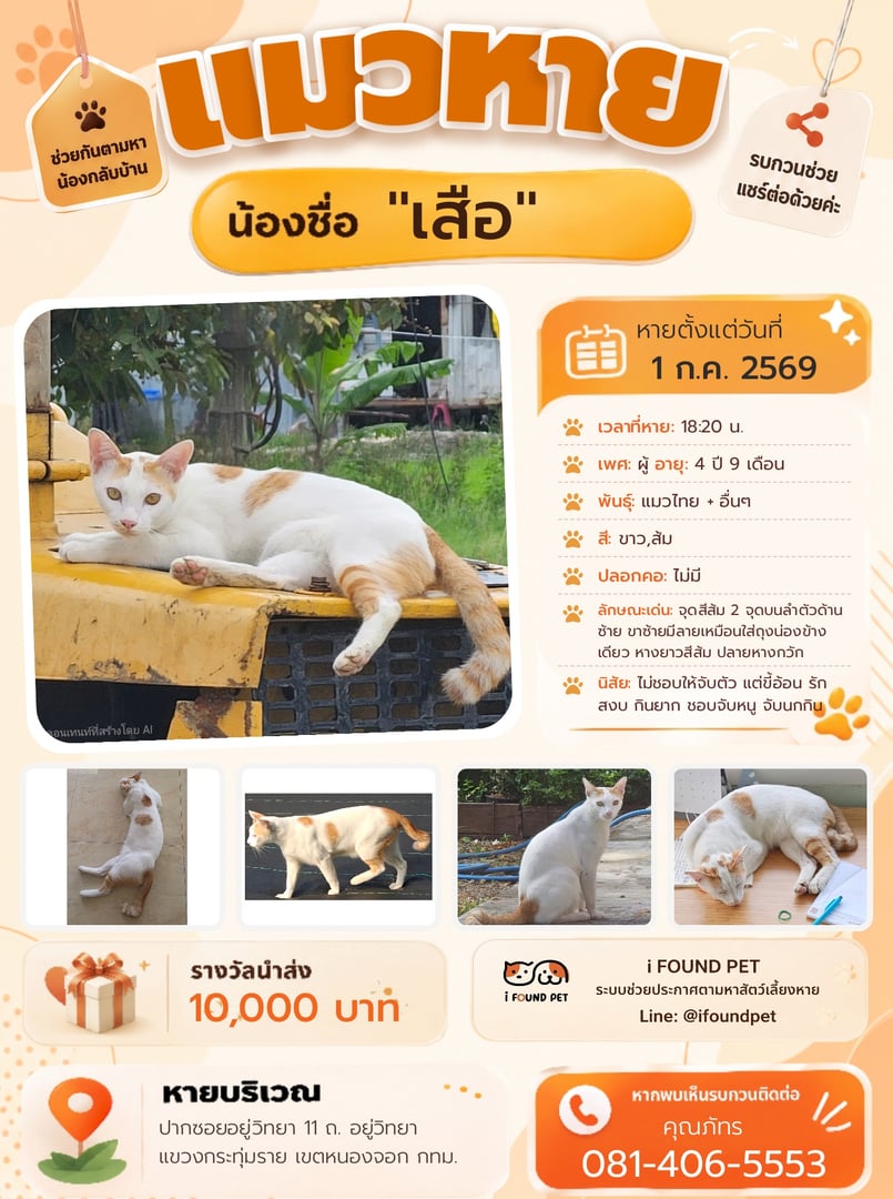 เสือ