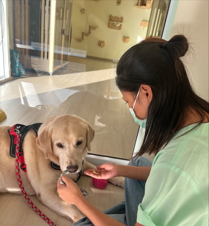 Minimint Pets Clinic and Hotel (มินิมิ้นรักษาสัตว์)