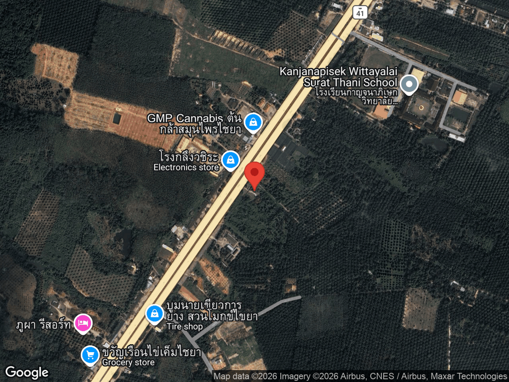 สถานที่หายของชาเย็น