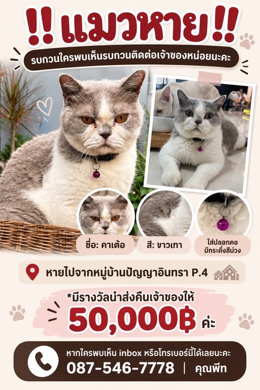 คาร์เตอร์