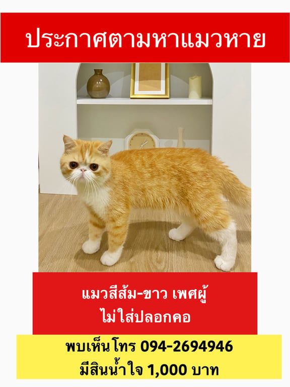 ไข่เจียว