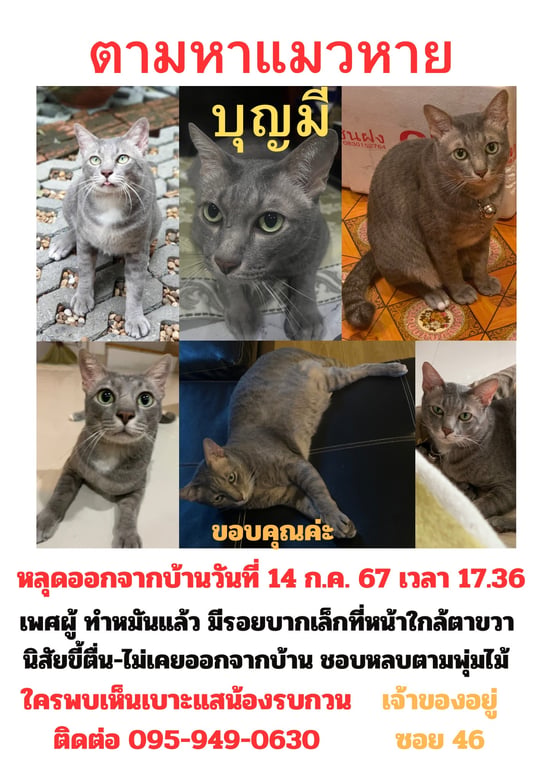 บุญมี/อ้วน
