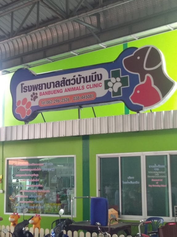 โรงพยาบาลสัตว์บ้านบึง