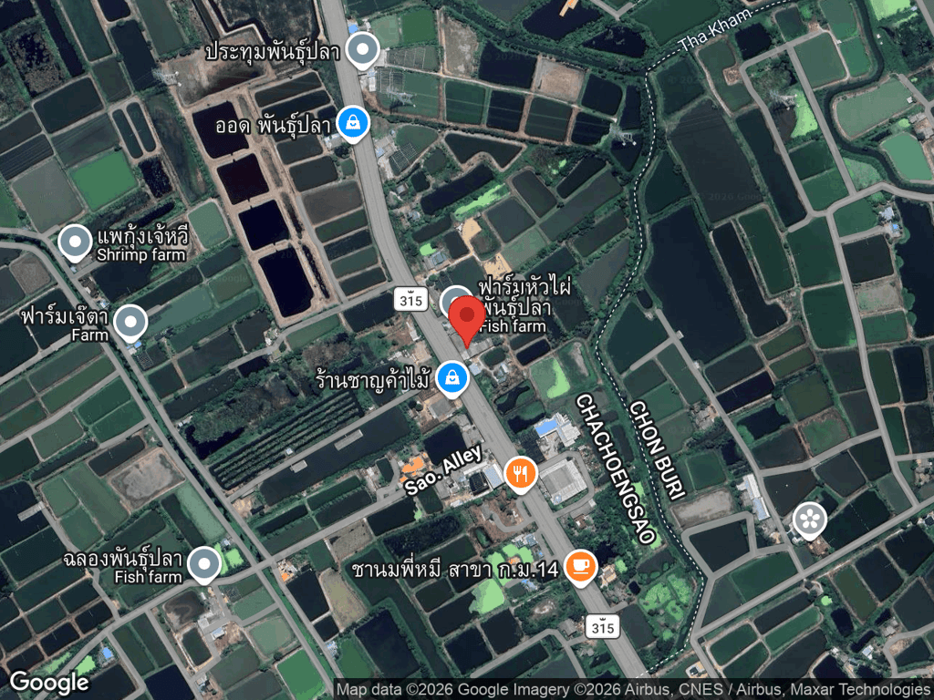 สถานที่หายของชาล็อต