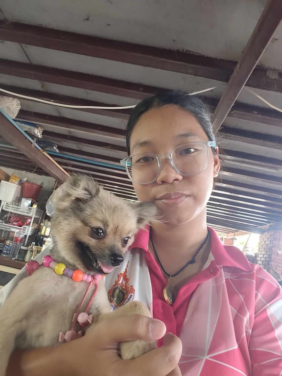 ไมโล