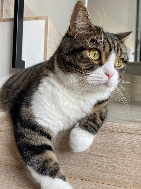 มีตังค์