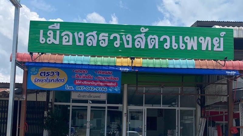 เมืองสรวงสัตวแพทย์