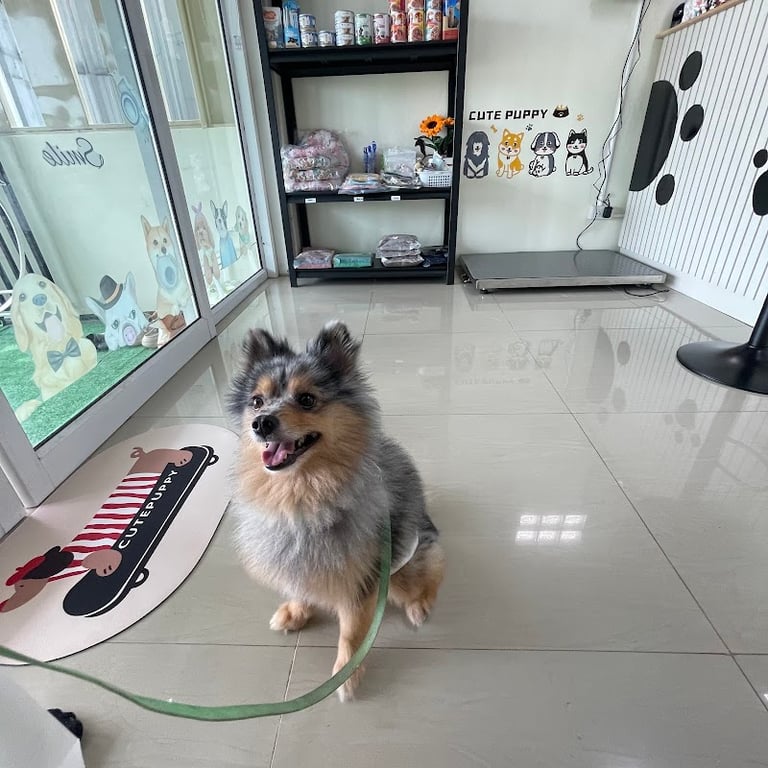 คลินิกกู๊ดเฮลท์เพ็ท รักษาสัตว์- Good health pets clinic