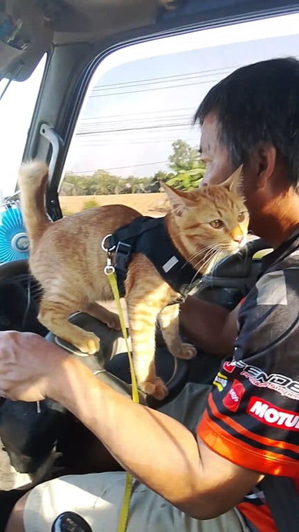 แสนแสบ