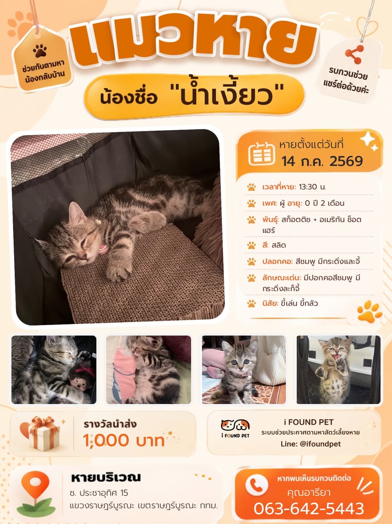 น้ำเงี้ยว