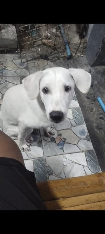 รวย