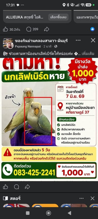 จูเนียร์