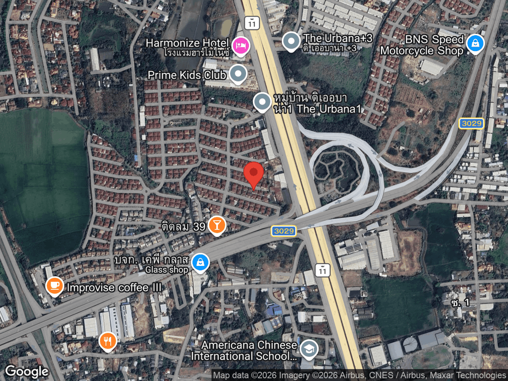 สถานที่หายของผักกาด