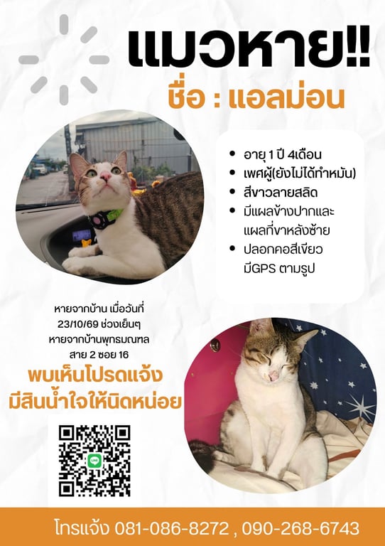 แอลม่อน