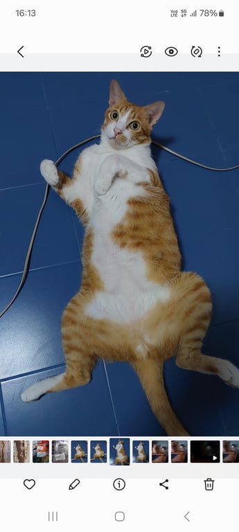 เข็มเงิน