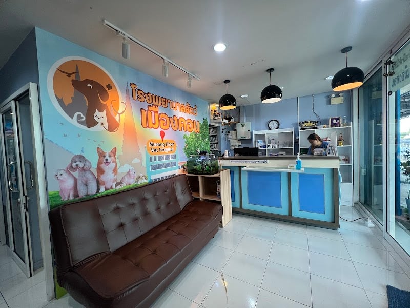 โรงพยาบาลสัตว์เมืองคอน ศัลยกรรมกระดูกและข้อสัตว์เลี้ยง