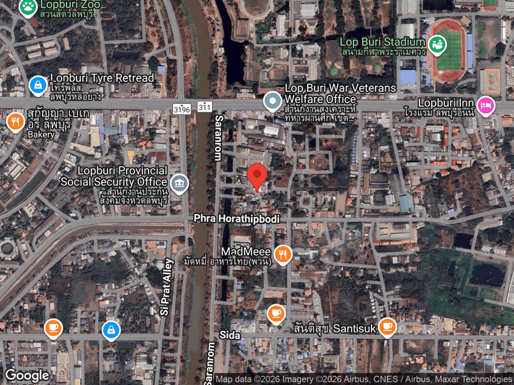 สถานที่หายของไลอ้อน