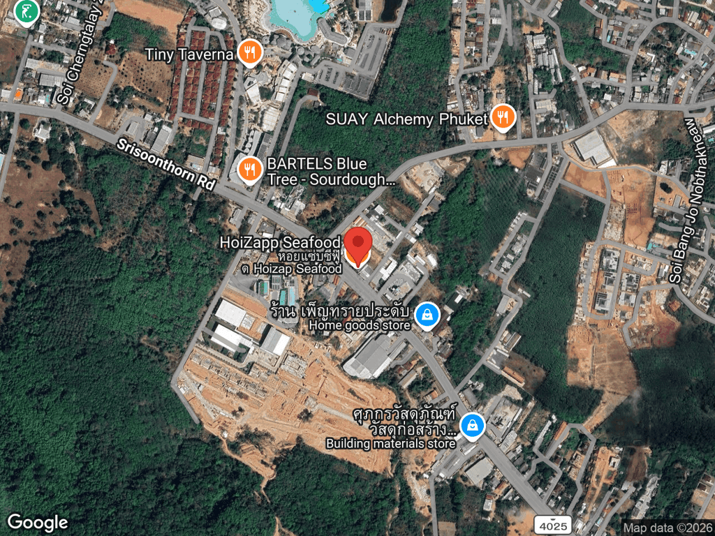 สถานที่หายของโทนี่