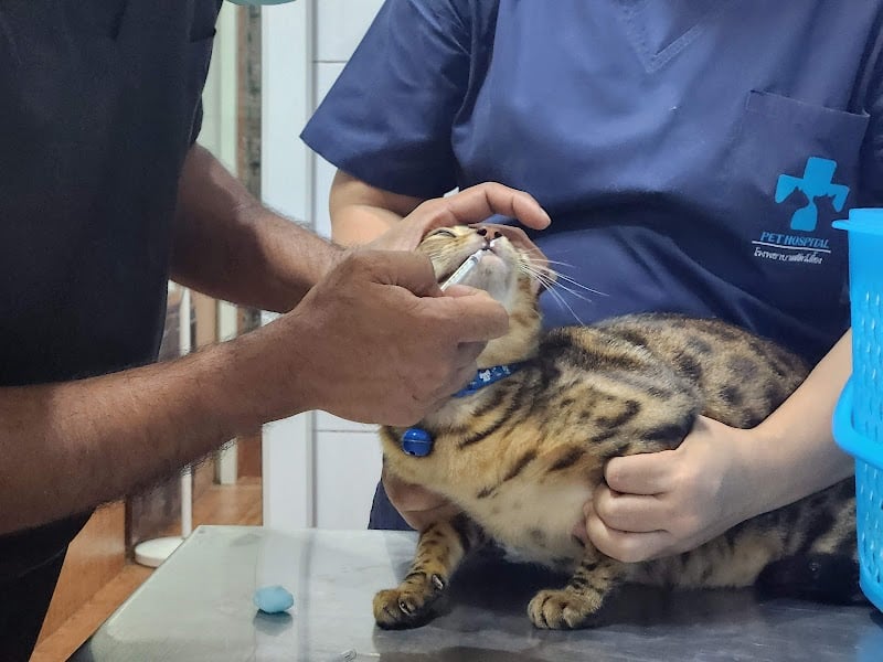 Thalang Animal Hospital