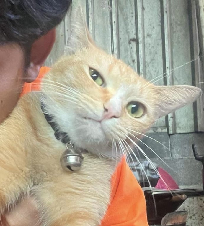 มารวย