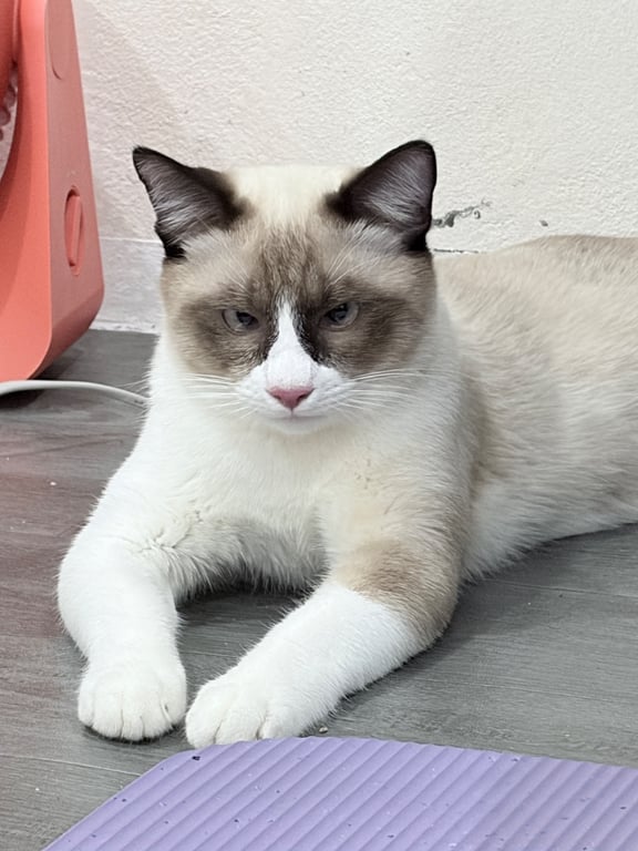 ซีโร่