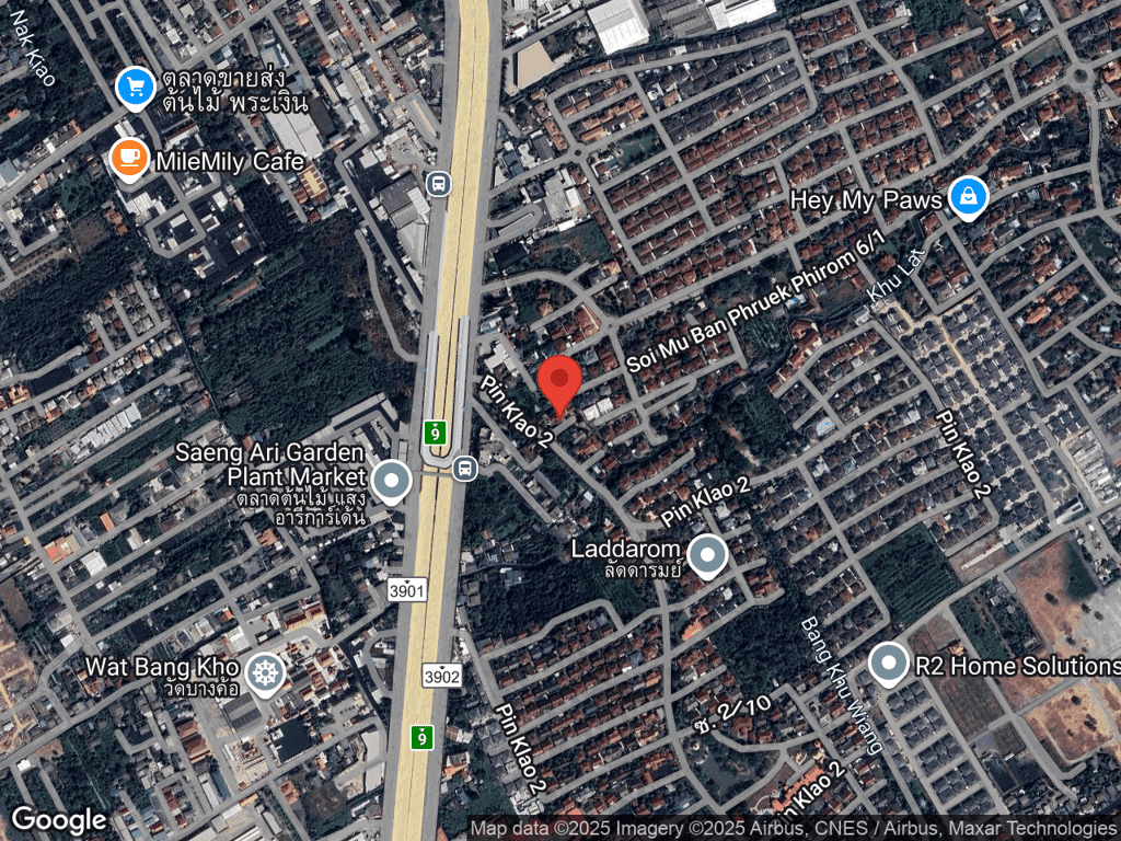 สถานที่หายของฟองเบียร์