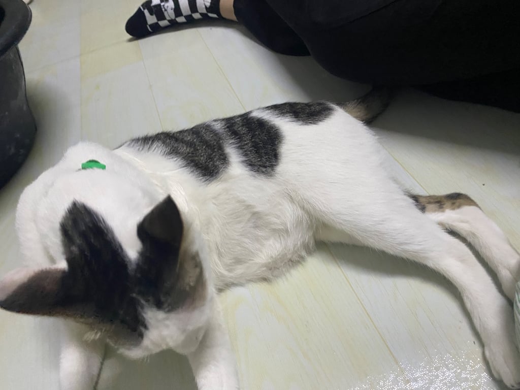 นำโชค