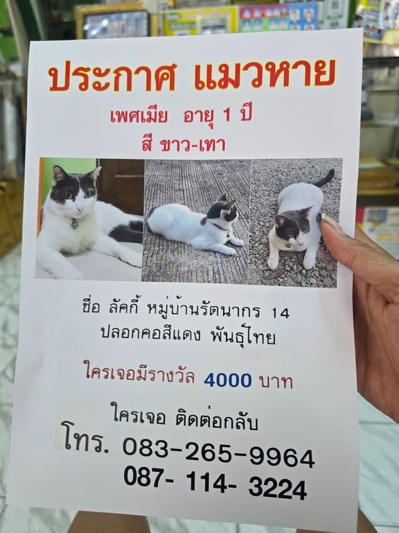ลักกี้