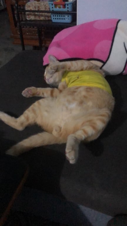 นายจี๊ด