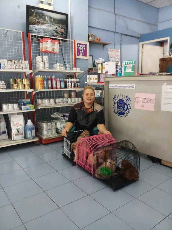โรงพยาบาลสัตว์เพ็ท81