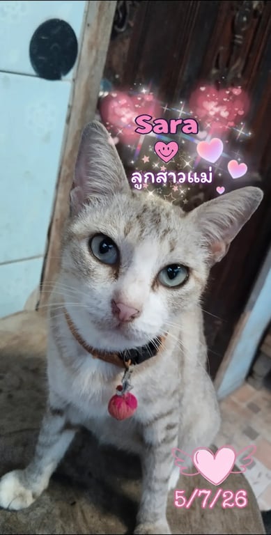 ซาร่า