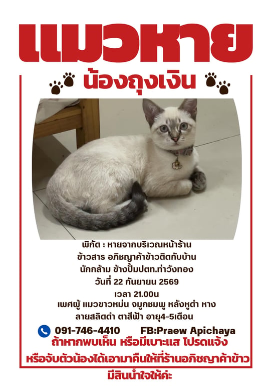 ถุงเงิน