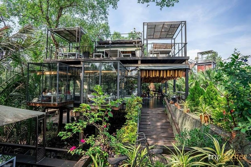 Bangkok Tree House
