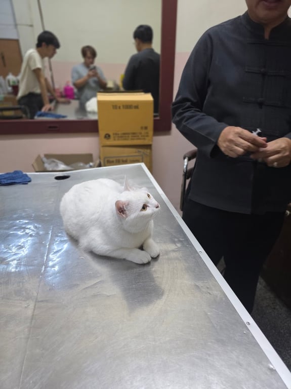 ศุภชัยสัตวแพทย์