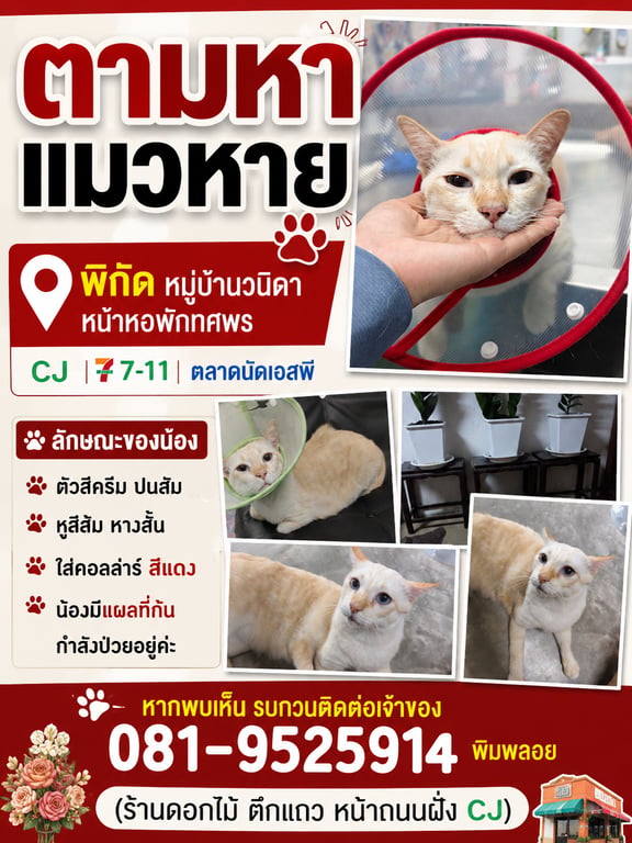 โจโฉ
