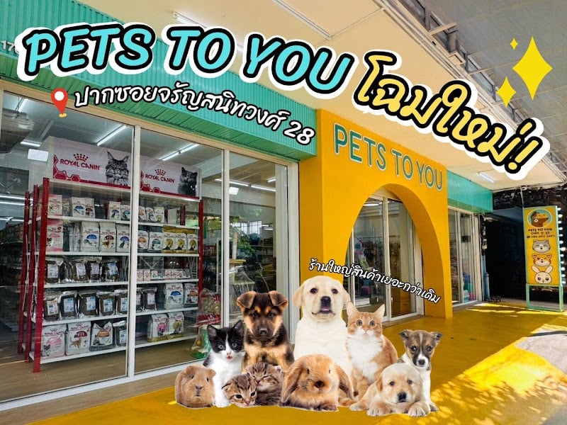 Pets To You (เพ็ททูยู)