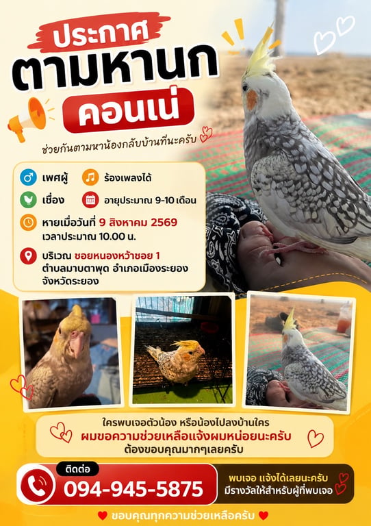 คอนเน่