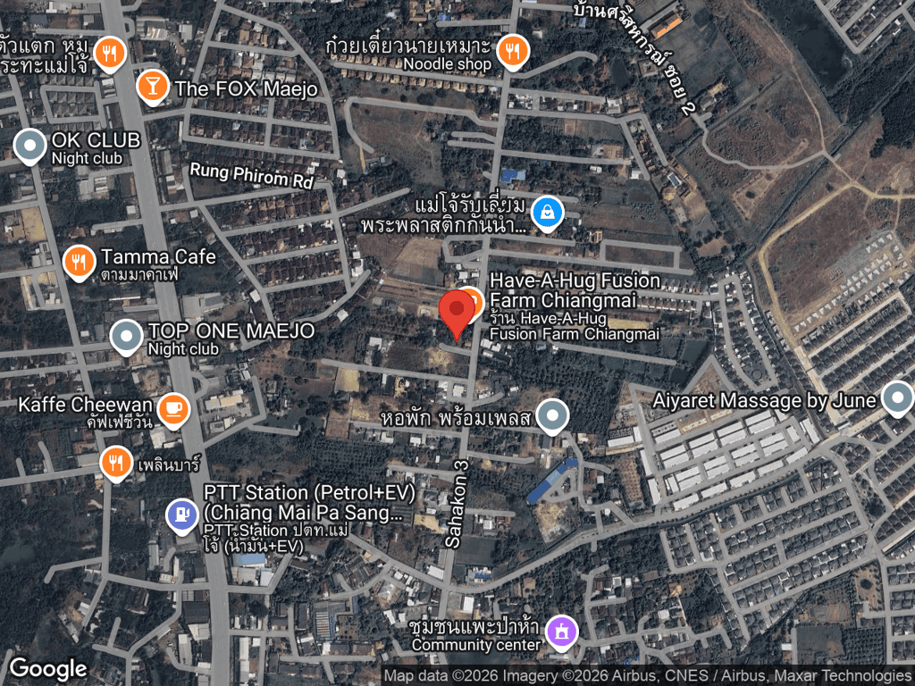 สถานที่หายของลิลลี่