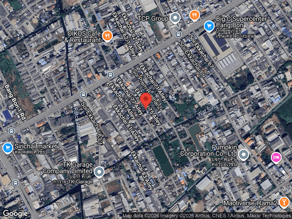 สถานที่หายของไข่เต่า