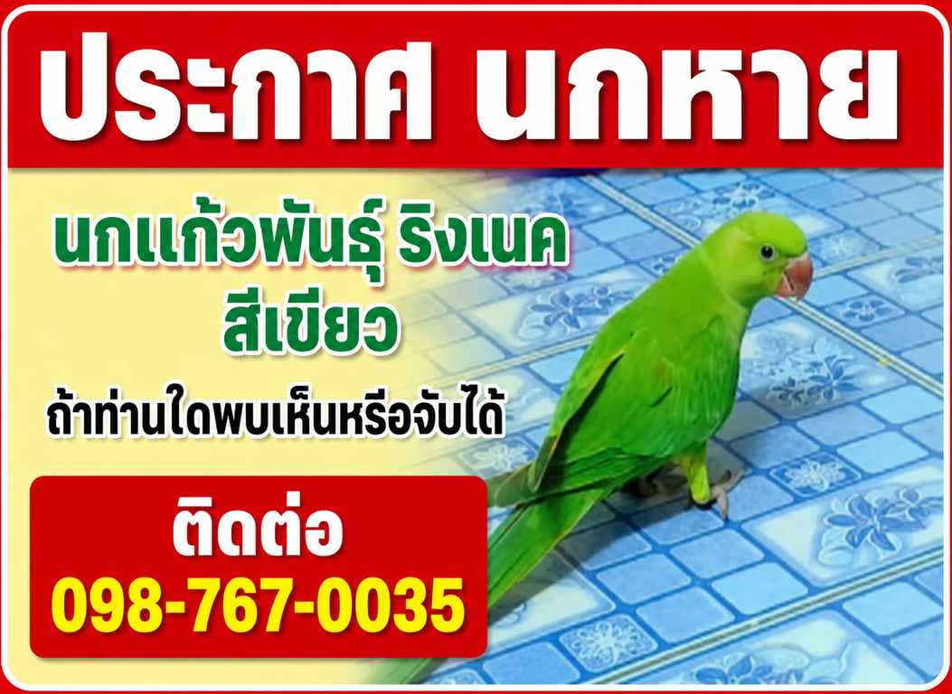 มะม่วง