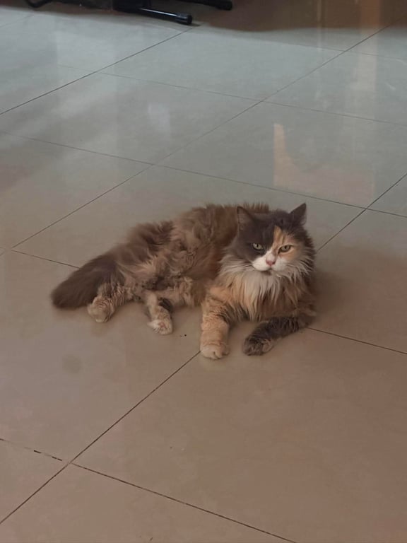 ล่องหน