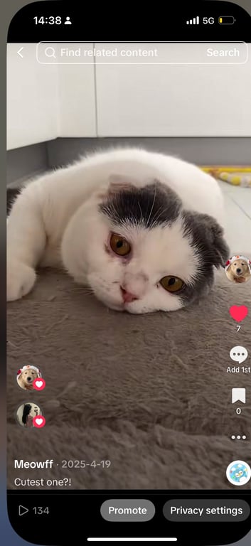 Lucky ลัคกี้