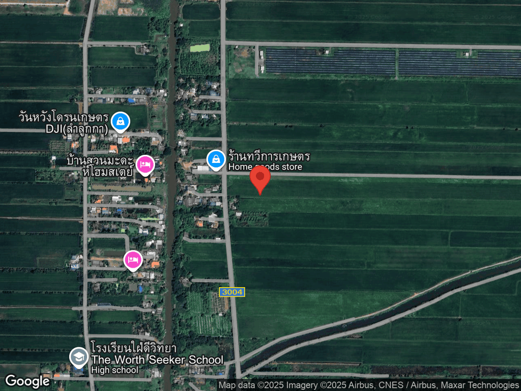 สถานที่หายของลีโอ