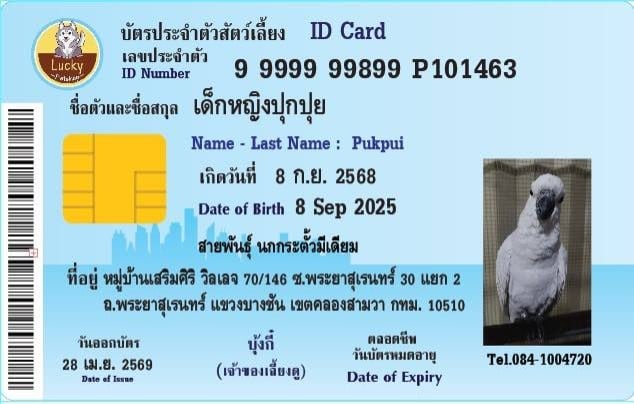 ปุกปุย