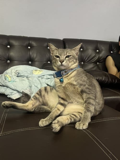 พายุ