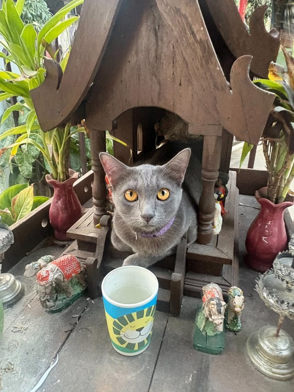 โซบะ