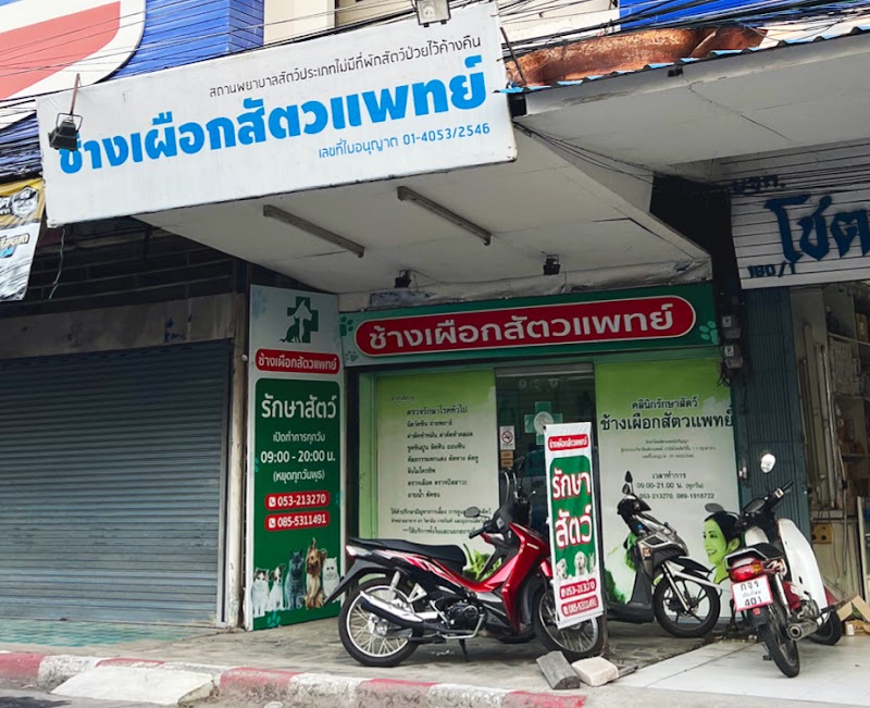 ช้างเผือกสัตวแพทย์ (Changphuak Veterinary)