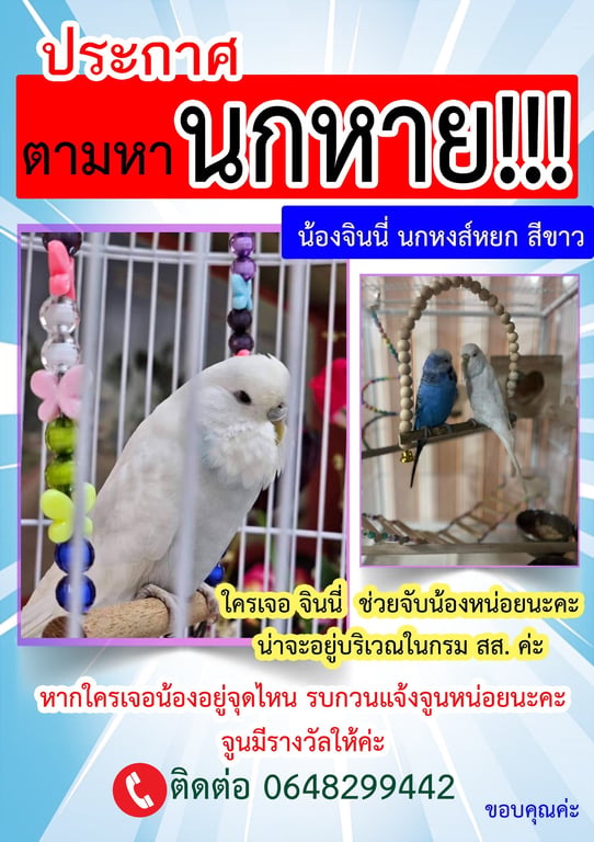 จินนี่