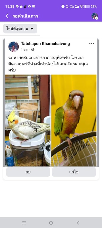 กิมจิ