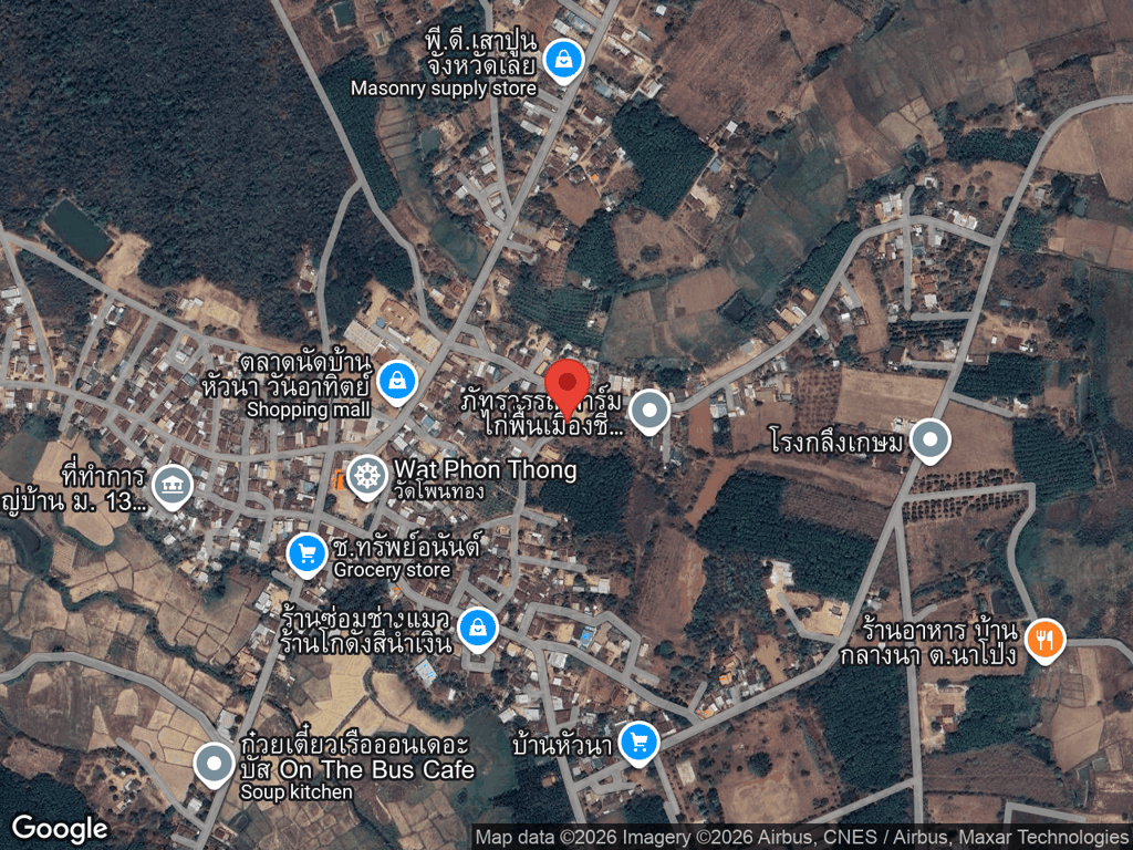 สถานที่หายของเสือ